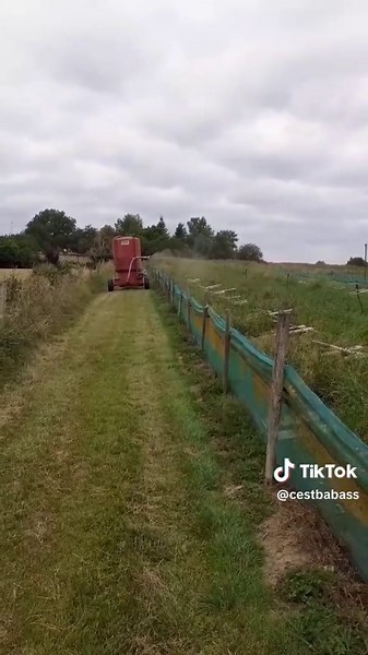 Optimisation du nourrissage des escargots en agriculture