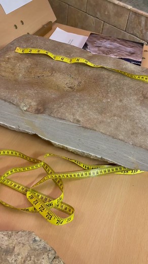 Creation Evidence Museum: Unveiling Fascinating Discoveries