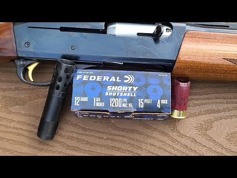 Federal Shorty Shotshell 15 Pellet 4 Buck 40yd Pattern Test W/ 11-87 & Kicks Buck Kicker Full Choke