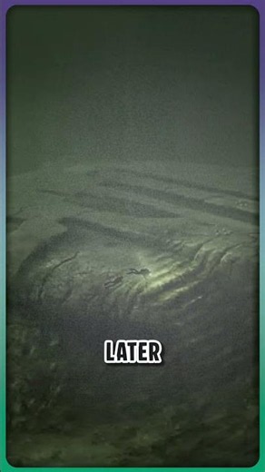 🛸 What is Hiding in the Baltic Sea? #balticsea #ocean #mystery