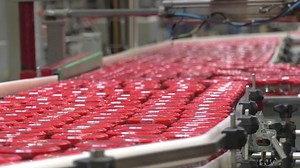 Automatic Line Processing Vegetables Stock Footage Video (100% Royalty-free) 1080316151 | Shutterstock