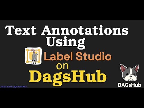 Text Annotations using Label Studio and DAGSHub - (NLP - NER)