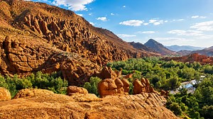 Eine versteckte Oase tief zwischen gewaltigen Canyon-Felsen