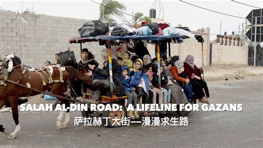 Salah al-Din Road: A lifeline for Gazans