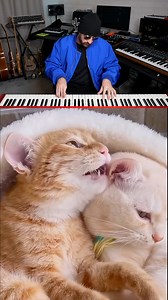 634K views · 10K reactions | The cutest video you'll see today 來❤️ | French Fuse | Facebook