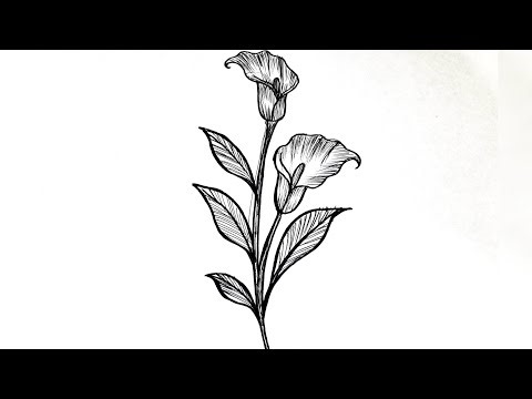 Easy Flower Drawing | Simple Step by Step Flower Sketch for Beginners