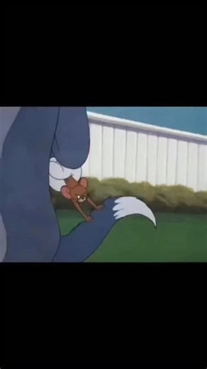 Tom&jerry on Instagram: "- The post shares a 2-minute 48-second clip from the 1950 Tom and Jerry episode “Little Quacker,” where Tom attempts to cook a hatched duckling only for Jerry to intervene, highlighting classic slapstick humor without dialogue. - Posted in Italian as a nostalgic call to “take a break and enjoy” the animation, it resonates with viewers reminiscing about pre-digital era cartoons, amassing over 2,000 likes and 43,000 views in under a day. - The episode, directed by Hanna-Ba