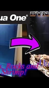 Aqua One Dynamic 58 Aquarium & cabinet – Pebbles, Rocks and Amano Shrimp! 🪨🦐