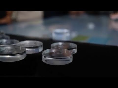 SIEMENS Future Room Energy: Visualizing the German Energy Grid with Scape X®