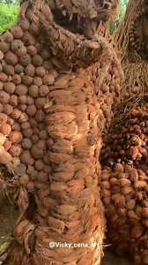 20M views · 1.2M reactions | Absolutely mesmerizing! Witness the awe-inspiring creation of #LordShiva  using coconut husks and empty coconuts by the immensely talented young artists Rishabh Kashyap and Vicky from Seoni. Their artwork reflects not just artistic brilliance but also a deep sense of #devotion. I salute their creativity and dedication! #omnamahshivaya | Muppavarapu Harshavardhan | Facebook