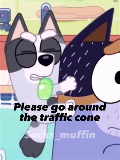 Muffin and Socks: Adorable Moments in Bluey