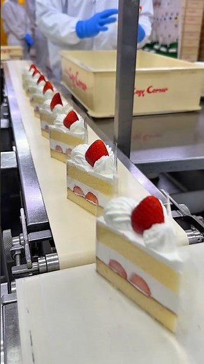 みんな大好きコージーコーナーのケーキ工場に潜入🍰#japanesefood