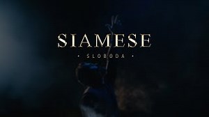Siamese - Sloboda
