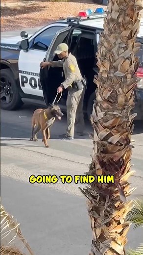 The Suspect Was Right There the Whole Time… 👀🚔 #shorts
