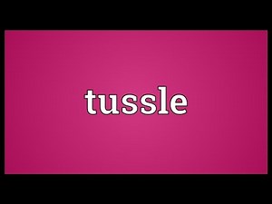 Tussle Meaning