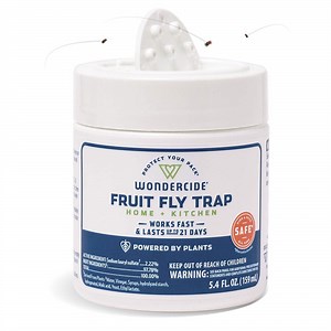 Fruit Fly Trap for Home and Kitchen Use - Effective Solution