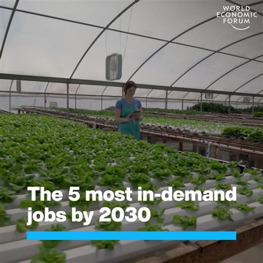 #skills #employers #jobs #companies #workers #skill #labour #futureofjobs25 | World Economic Forum