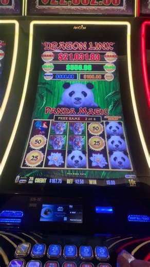 🔥 INSANE Panda Magic Bonus Win on Dragon Link! | Panda Feature + Big Line Hit 😱🐼🔥