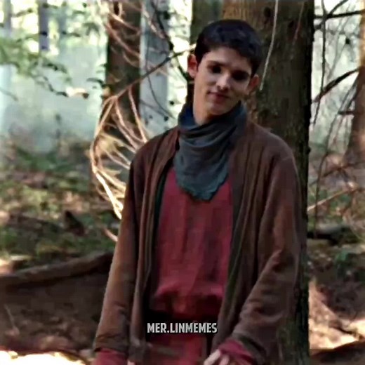 Mer.linmemes on TikTok