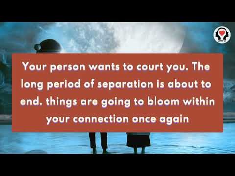 DM to DF | Separation Ends, Love Blooms Again 💫💖