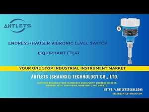Endress+Hauser Vibronic Level Switch Liquiphant FTL41