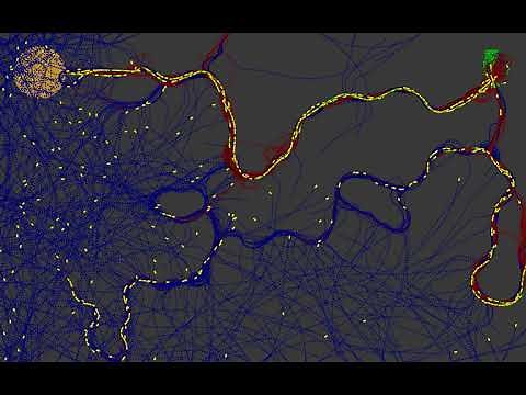 1000 Ants simulation in processing