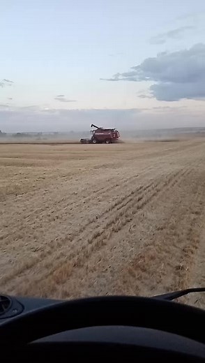 Large Red Combine Harvester in Wheat Field