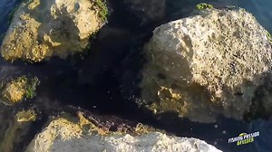 48K views · 260 reactions | Volete trascorrere una giornata rilassante ma soprattutto catturante Caperlan Italia | Fishing Passion & Feeder | Facebook