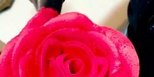 A Brazilian bakery makes cakes that look like flower gardens