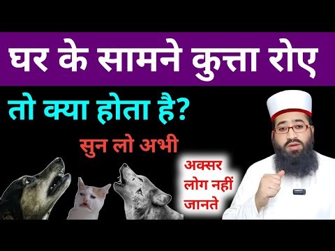 Ghar Ke Samne Kutta Roye To Kya Hota Hai? | Jadoo Ki 10 Nishani | Islamic Reality | SY UPDAt