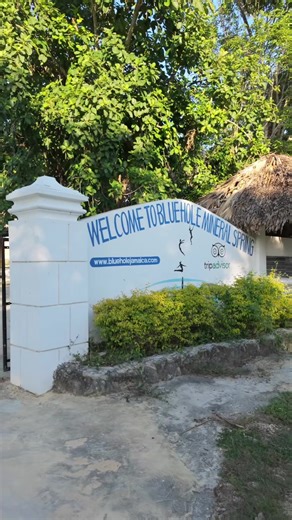 Exploring Blue Hole Mineral Spring in Negril, Jamaica