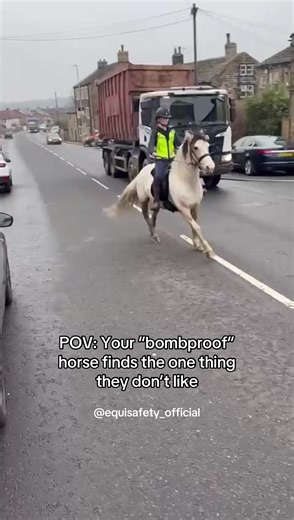 Building Trust with Your Horse: Overcoming Fears