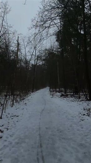 ASMR Walking on Crunchy Snow ❄️ | Satisfying Snow Sounds for Sleep & Relaxation