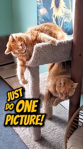 51K views · 2.8K reactions | If this energy felt familiar, you need...