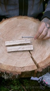 100K views · 87 reactions | DIY Tool Using a Single Nail! | Science, Tech and Universe | Facebook