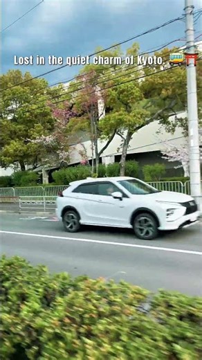 POV: You're exploring Kyoto the local way. 🇯🇵🚌 The most peaceful bus ride ever! #kyotovibes