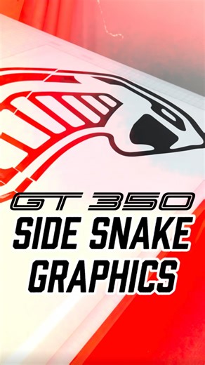 Qspek Vinyl | Automotive Graphics on Instagram: "Side snake graphics ready for a GT350🏎️ - Premium air-release vinyl✅ - Marked/labeled for a straightforward installation✅ - Ready to turn heads on the road✅ 🚨End Of Year Sale🚨 Get 20% off the ENTIRE site till 12/31 @ 11:59 PM PST Use code BYE2025 at checkout✅ ➖➖➖➖➖➖➖➖➖➖➖ Tag a Shelby owner🐍 Products available link in bio💥 ➖➖➖➖➖➖➖➖➖➖➖ 🖥️www.qspek.com 📧qspekvinyl@gmail.com #Mustang #Shelby #GT350 #GT500 #Endofyearsale"