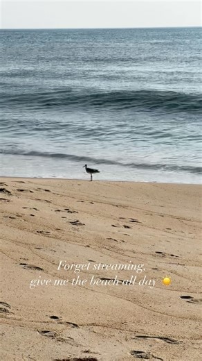 All day, every day 🌊 in beautiful Sandbridge, VA ☀️ | Sandbridge Blue Vacation Rentals