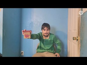 Blue's Clues: Thinking Time Segment: (What Are Rocco & Blue Thankful For?)