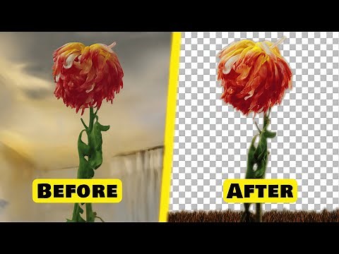 CROP and Transform 3D Gaussian Splatting with SuperSplat