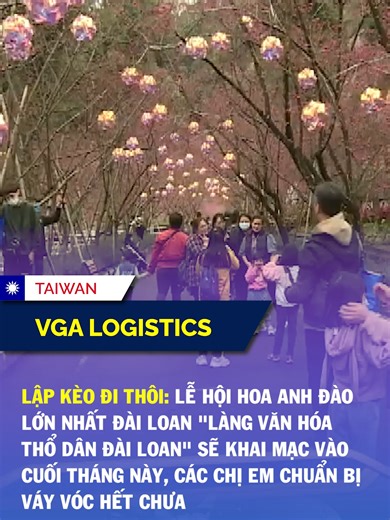 Taiwan News Updates and Logistics Insights