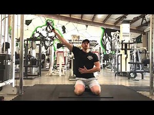 Single-Arm Cable Lat Pull-In