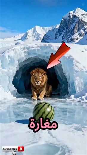 البنت رمت بطيخة في التلج وراحت عند أسد…هتتصدم😨🍉👀