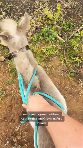 1.6M views · 60K reactions | Pedicure Day for Karen❤️ | Katie Van Slyke | Facebook