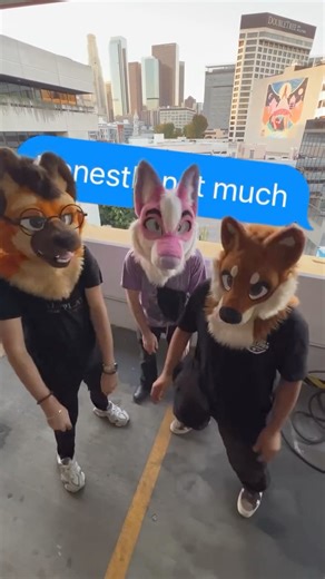 What are you boys up to? #furry #fursuit #furrymeme