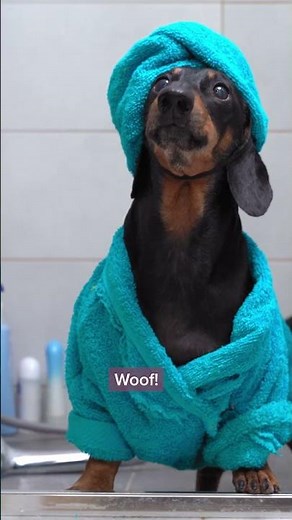 Manage your expenses with Odoo Dashboard