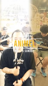 837K views · 19K reactions | unsa na petsa asa naka? -'Animel' xfrom the album Rilodid #se24 #chadangabanda #bisaya #bisayangdako #bisayanibai #bonalsho | SE24 | Facebook