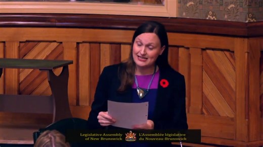 The Holt government is welcoming a MAGA Trump supporter to build a fracked gas plant in Lorneville for a data centre on a wetland — requiring 380 MW by 2028, half from fracked gas and half from NB Power. We urgently need answers about transparency, environmental impact, and who truly benefits. --- Le gouvernement Holt accueille un partisan de Trump et MAGA pour construire une centrale au gaz de schiste à Lorneville pour un centre de données situé dans une zone humide — qui nécessitera 380 MW d'i