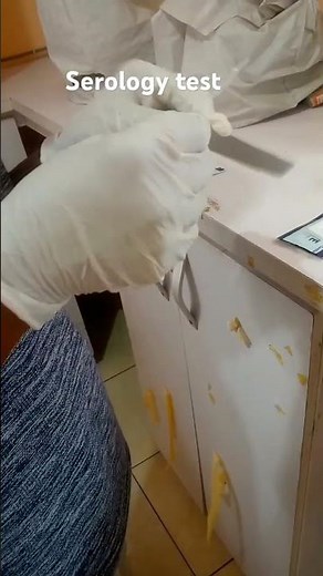 lab life #serology test#diagnosis..