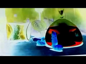 larva aquarium g major